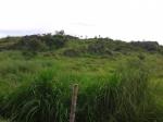 Land and Farm for sale in Cuyapo