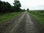 Land and Farm for sale in Iba
