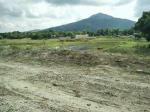 Land and Farm for sale in Botolan