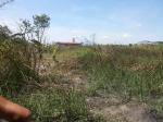 Land and Farm for sale in Bacolor