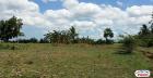 Agricultural Lot for sale in Pasig