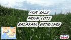 Agricultural Lot for sale in Mandaluyong