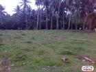 Residential Lot for sale in Other Cities