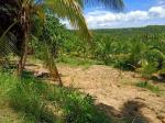 Agricultural Lot for sale in Borbon