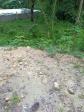 Agricultural Lot for sale in Mandaue