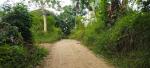 Agricultural Lot for sale in Aloguinsan