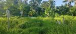 Agricultural Lot for sale in Cebu City