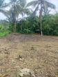 Agricultural Lot for sale in San Remigio