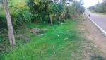 Agricultural Lot for sale in Talibon