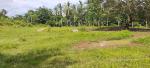 Agricultural Lot for sale in Buenavista