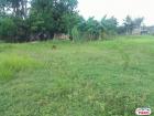 Residential Lot for sale in Cebu City