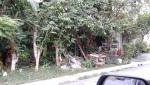 Residential Lot for sale in Cainta