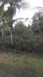 Residential Lot for sale in Corella
