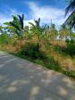 Land and Farm for sale in Sogod