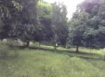 Land and Farm for sale in Ubay