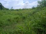 Land and Farm for sale in Bogo