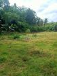 Land and Farm for sale in Sogod