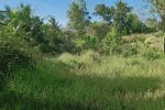Land and Farm for sale in Talibon