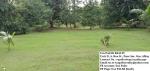 Other property for sale in Majayjay