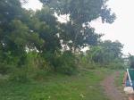 Lot for sale in Lapu Lapu