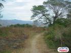 Agricultural Lot for sale in Iba