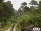 Residential Lot for sale in Baguio