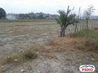 Agricultural Lot for sale in Cabangan