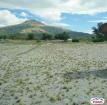 Agricultural Lot for sale in Botolan