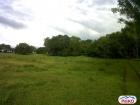 Agricultural Lot for sale in Quezon City