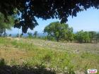 Residential Lot for sale in Talisay