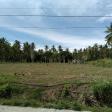 Other lots for sale in Dumaguete