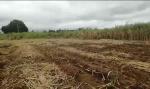 Other property for sale in Nasugbu