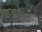 Residential Lot for sale in Laguindingan