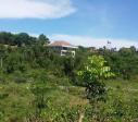 Residential Lot for sale in Consolacion