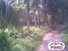 Agricultural Lot for sale in Other Cities
