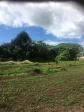 Residential Lot for sale in Calamba