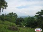 Residential Lot for sale in Island Garden City of Samal