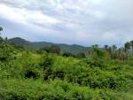 Residential Lot for sale in San Isidro