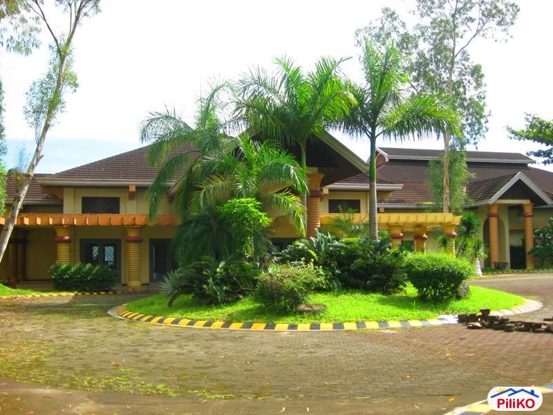Other lots for sale in Antipolo - image 5