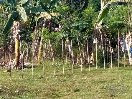 Residential Lot for sale in Island Garden City of Samal