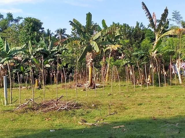 Residential Lot for sale in Island Garden City of Samal - image 5