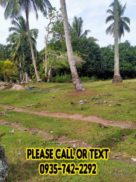 Picture of Lot for sale in Island Garden City of Samal