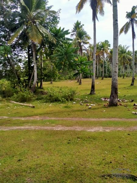 Lot for sale in Island Garden City of Samal in Philippines