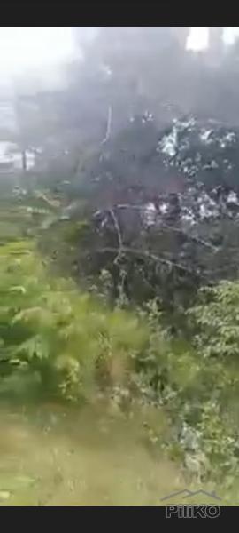 Residential Lot for sale in Island Garden City of Samal - image 2