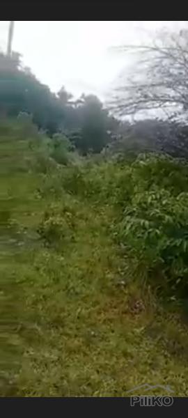 Residential Lot for sale in Island Garden City of Samal - image 4