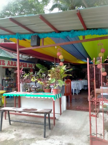 Other rooms for rent in Island Garden City of Samal - image 4