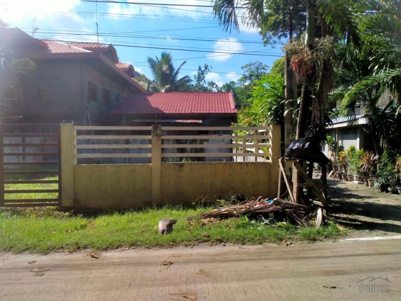 Residential Lot for sale in Island Garden City of Samal - image 3