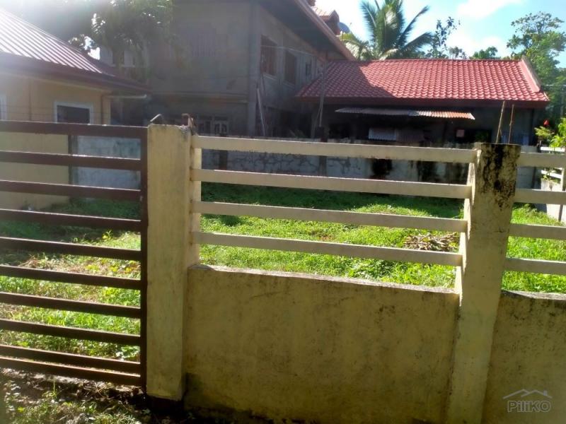 Picture of Residential Lot for sale in Island Garden City of Samal in Philippines
