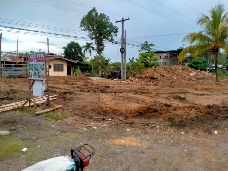 Picture of Commercial Lot for sale in Panabo