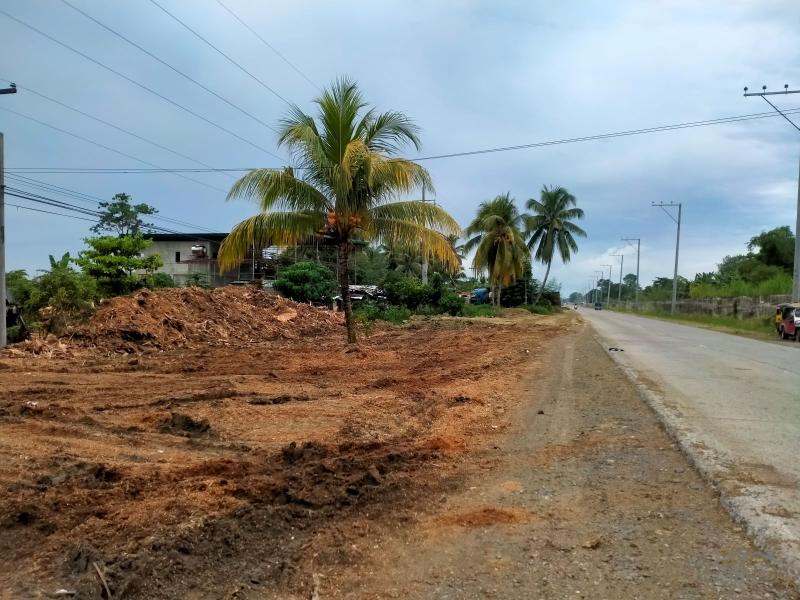 Commercial Lot for sale in Panabo - image 2